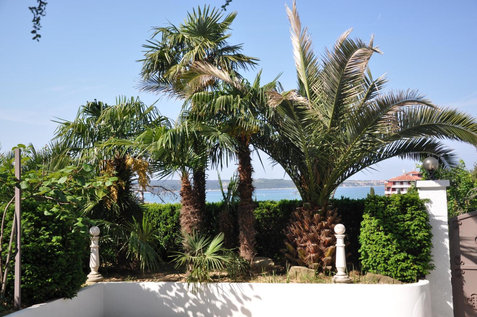 Apartments Ananina Portorož Zewnętrze zdjęcie